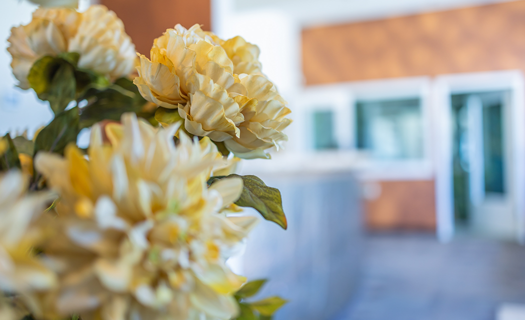 Close up of a bouquet of pale yellow flowers