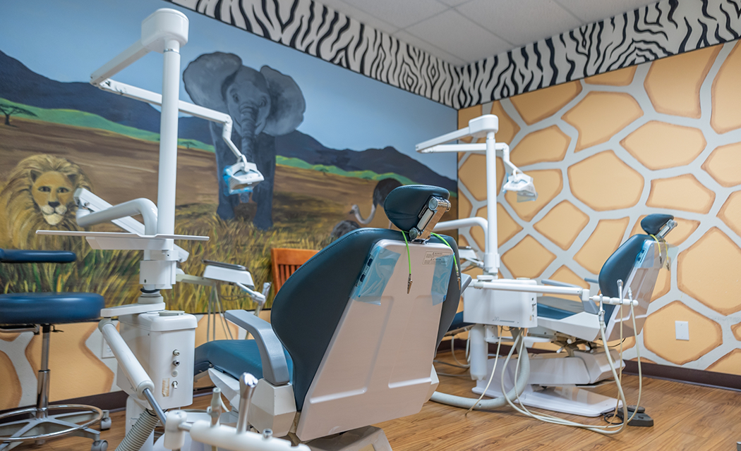 Two dental treatment chairs in area with savannah wildlife mural on wall