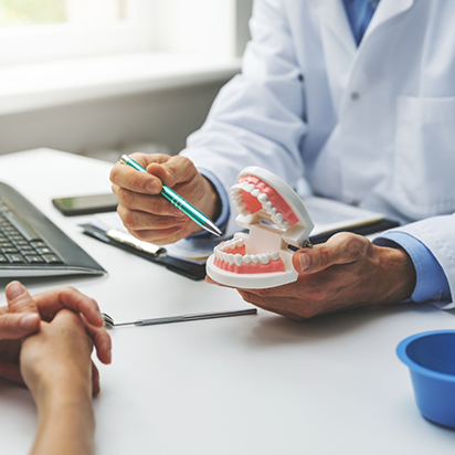 Dentist showing a patient a model of the jaw across a desk